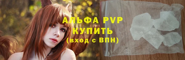 крисы Новокубанск