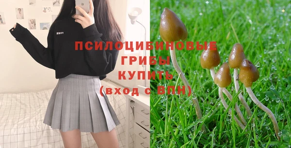 молекула духа Абинск