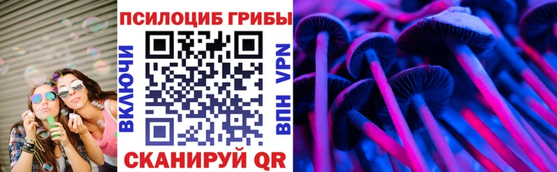 Псилоцибиновые грибы Psilocybe  Бирюсинск 